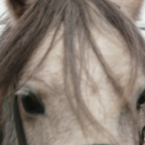 Trail Rider in Central Oregon